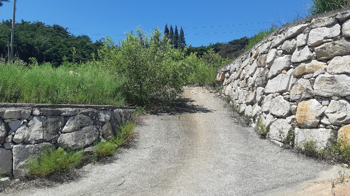 본건 번호 (7) 토지 젼경4