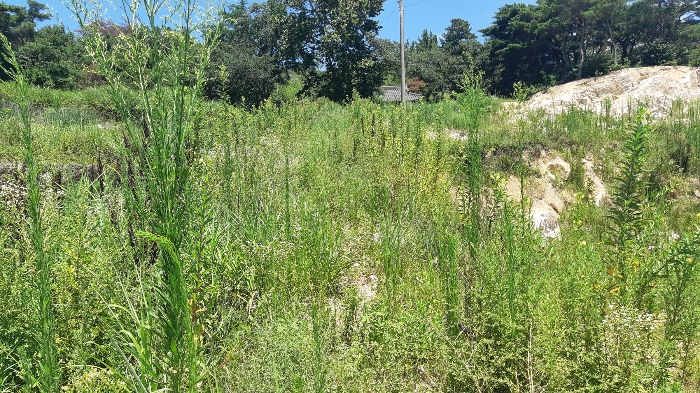 본건 번호 (7) 토지 젼경6