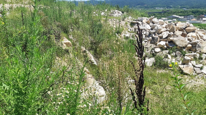 본건 번호 (2) 토지 남측 법면 젼경