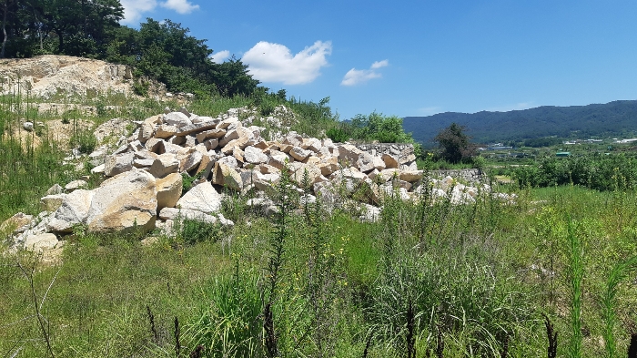 본건 번호 (3) 토지 젼경2