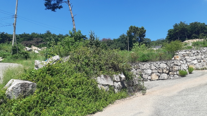 본건 번호 (4) 토지 젼경1