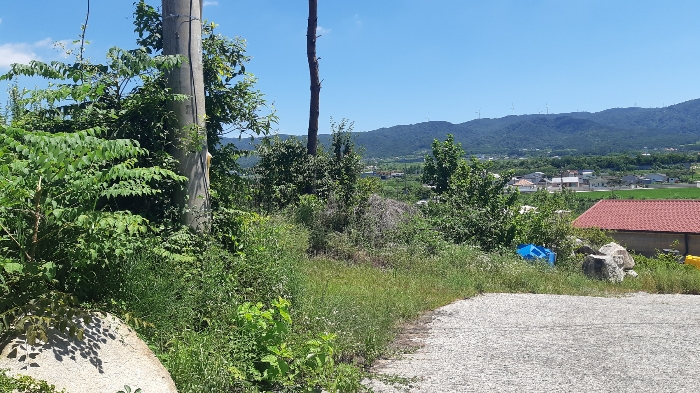 본건 번호 (4) 토지 젼경3