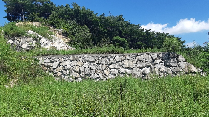 본건 번호 (5) 토지 남측 법면 젼경