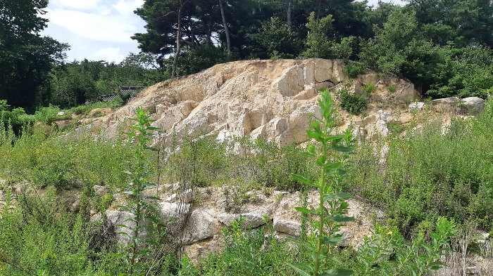 본건 번호 (1) 토지 젼경2