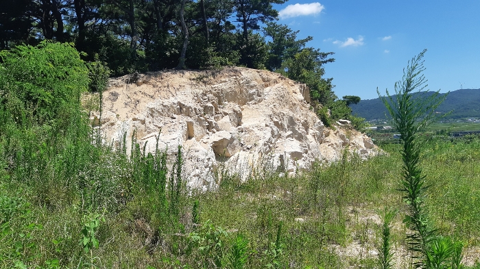 본건 번호 (1) 토지 북측 법면 젼경