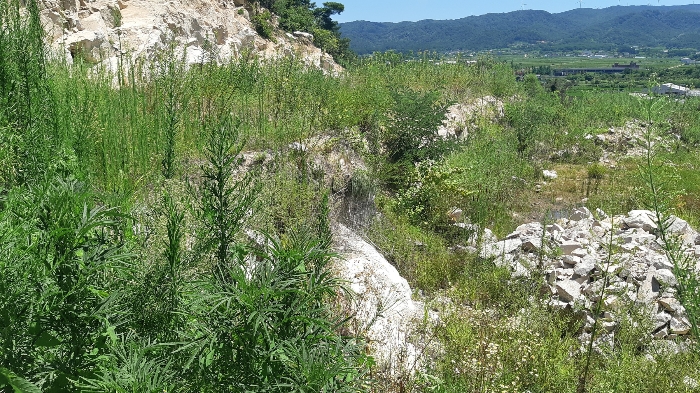본건 번호 (1) 토지 남측 법면 젼경