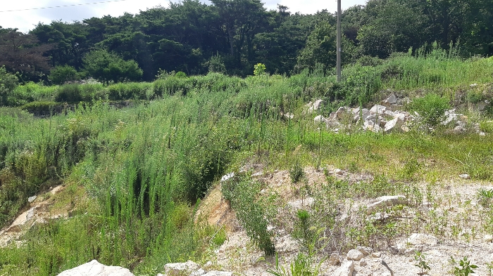 본건 번호 (2) 토지 젼경2