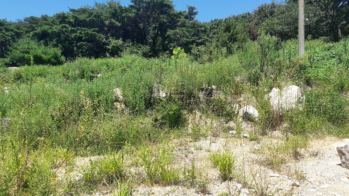 본건 번호 (2) 토지 서측 법면 젼경