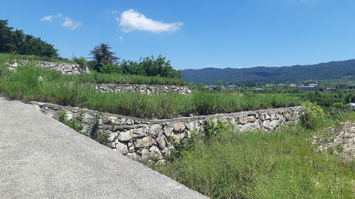 본건 번호 (6) 토지 중단부 젼경