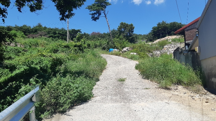 본건 번호 (7) 토지 젼경1