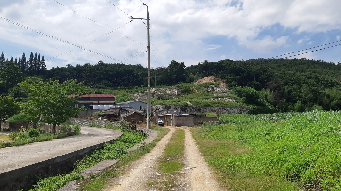 본건 및 인근 전경