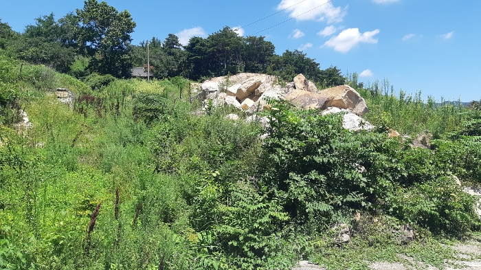 본건 번호 (7) 토지 젼경5