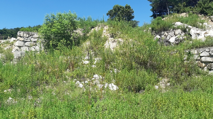 본건 번호 (7) 토지 북측 토석 젼경