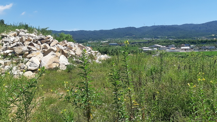 본건 번호 (3) 토지 젼경1