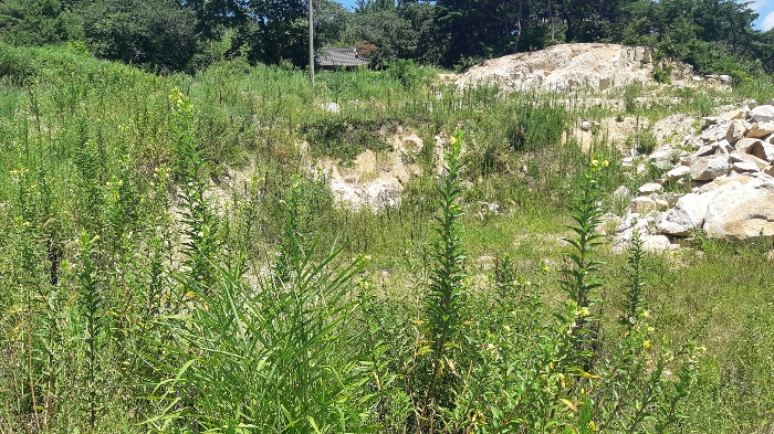 본건 번호 (3) 토지 젼경3