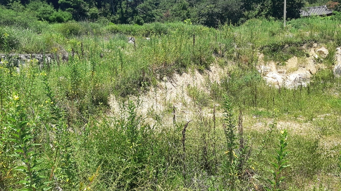 본건 번호 (3) 토지 서측 법면 젼경