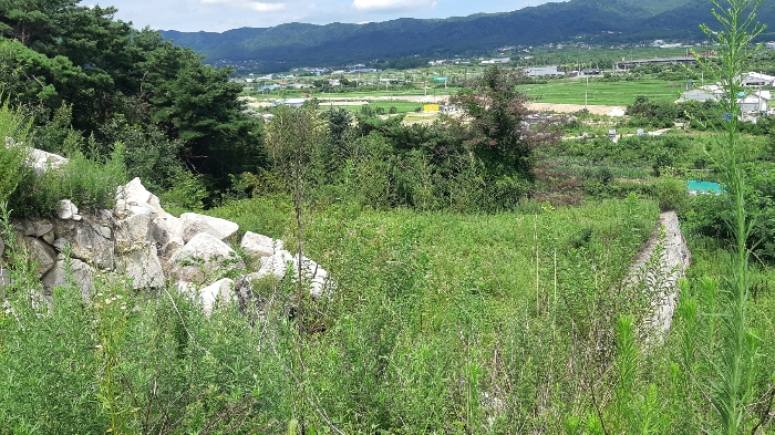 본건 번호 (5) 토지 젼경