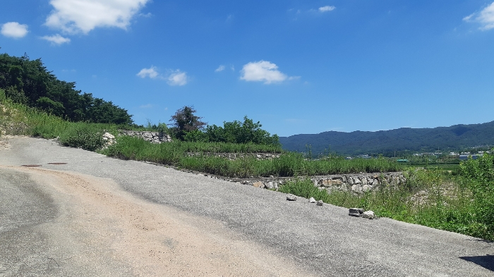 본건 번호 (6) 토지 젼경