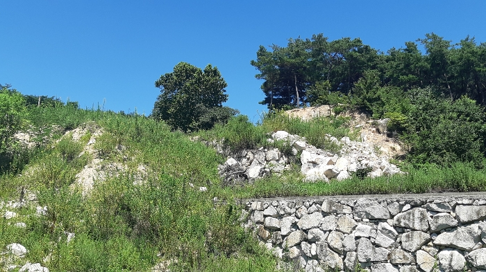 본건 번호 (1) 토지 남동측 법면 젼경