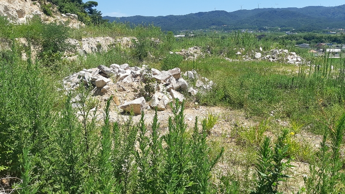 본건 번호 (2) 토지 젼경1