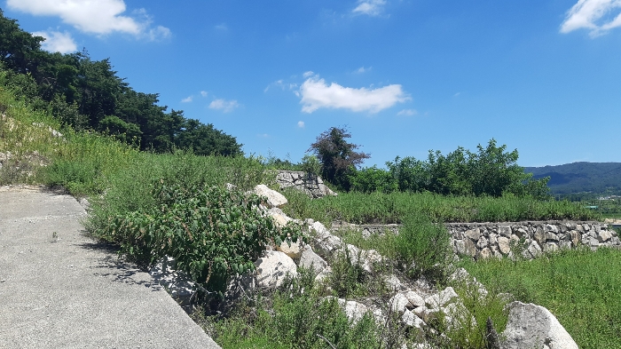 본건 번호 (6) 토지 상단부 젼경