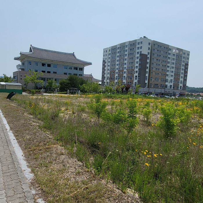 본건 북동측 전경