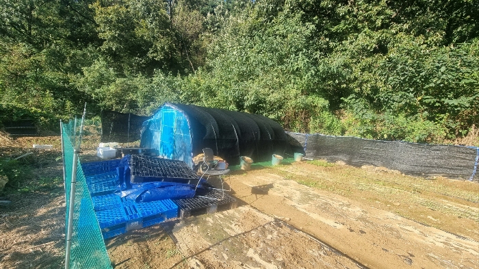 기호2) 지상 비닐하우스(평가외)