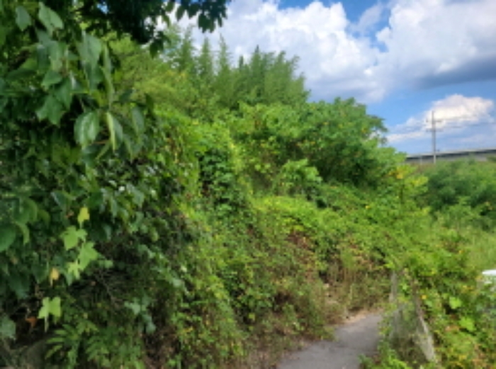 대구 다성군 다