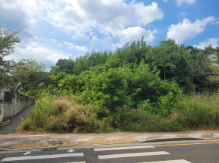 대구 다성군 다