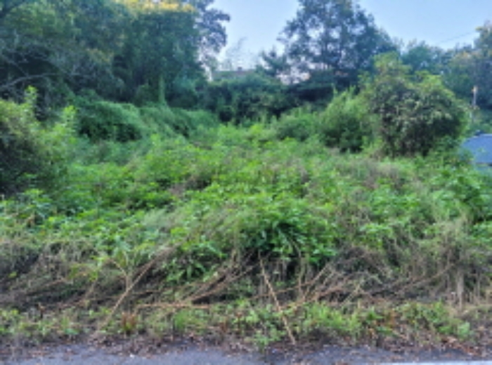 경북 성주군 금