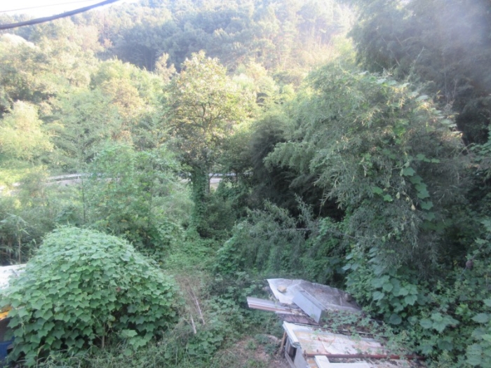 북측에서 본 기