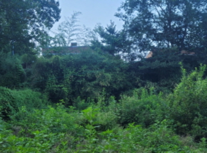 경북 성주군 금