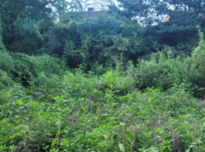 경북 성주군 금