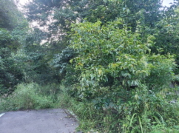 경북 성주군 금