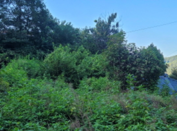 경북 성주군 금