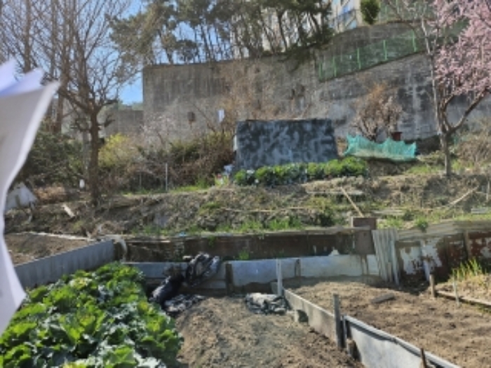 당감동 632-3 부지 중간 위치에서 위로 본 전경