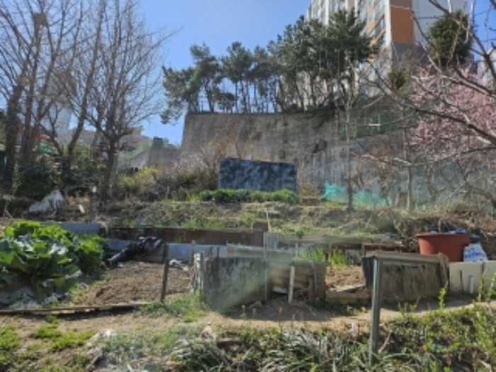 당감동 632-3 부지 아래에서 위로 본 전경