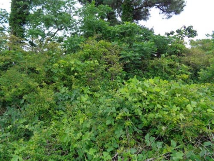 소재지1(협재리 2215-1)