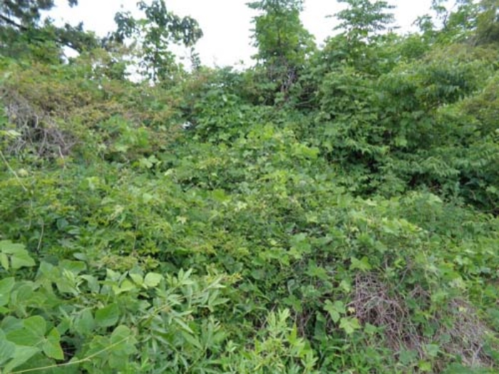 소재지1(협재리 2215-1)