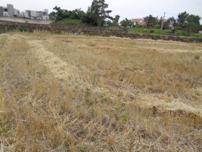 소재지2(협재리 2216)