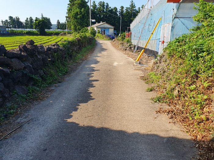 본건 동측으로 접한 콘크리트 포장도로