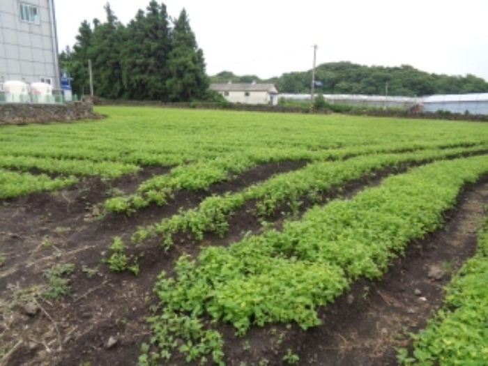 본건 전경 사진