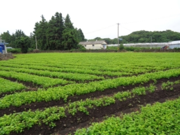 본건 전경 사진