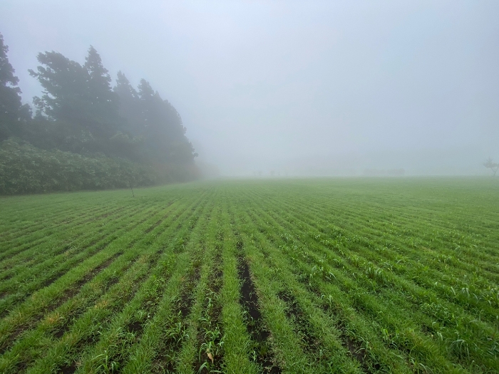 일련번호 3 전경