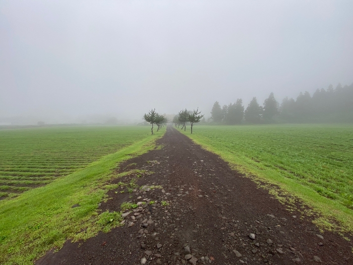 일련번호 3 도로부분