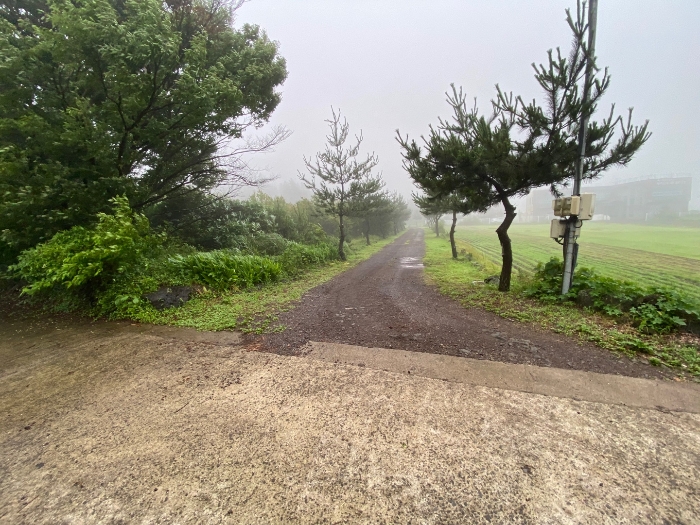 일련번호 4 전경