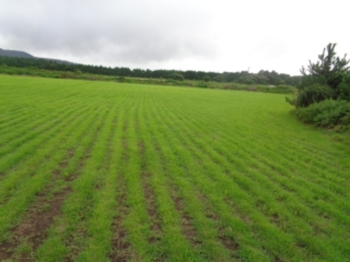 소재지1(봉성리 51-4) 전경 사진