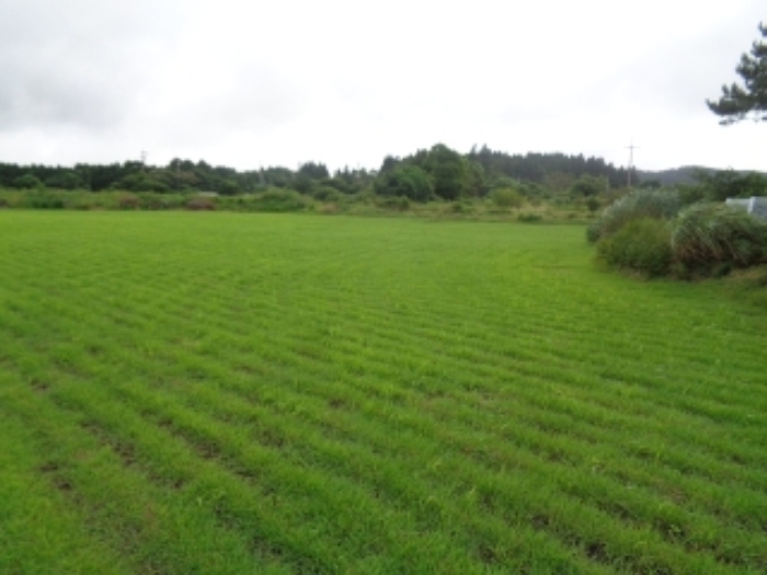 소재지1(봉성리 51-4) 전경 사진