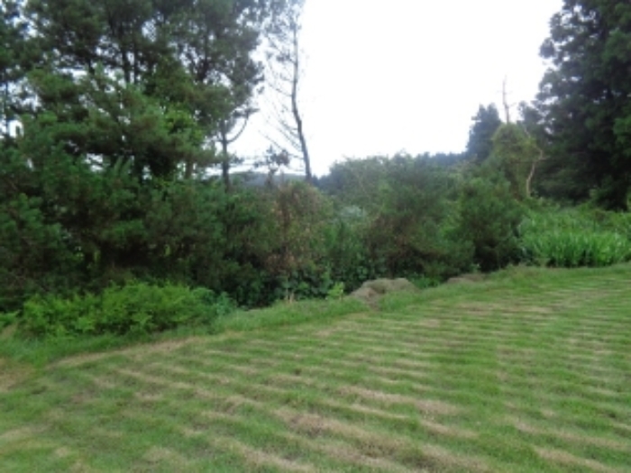 소재지2(봉성리 51-8) 전경 사진