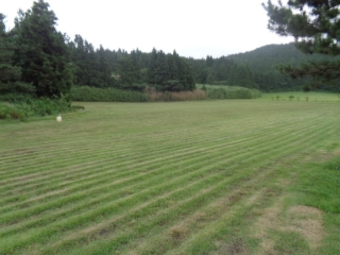 소재지2(봉성리 51-8) 전경 사진